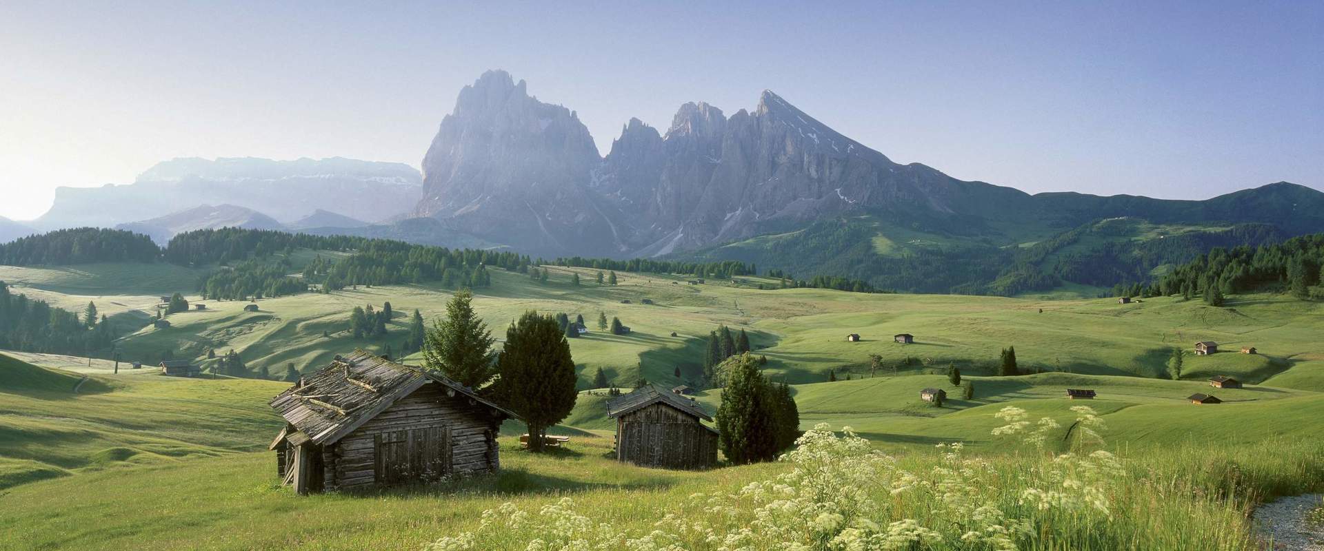 Seiser Alm in summer Wooden huts on a green plateau surrounded by green meadows and conifers. In the background the Dolomites.