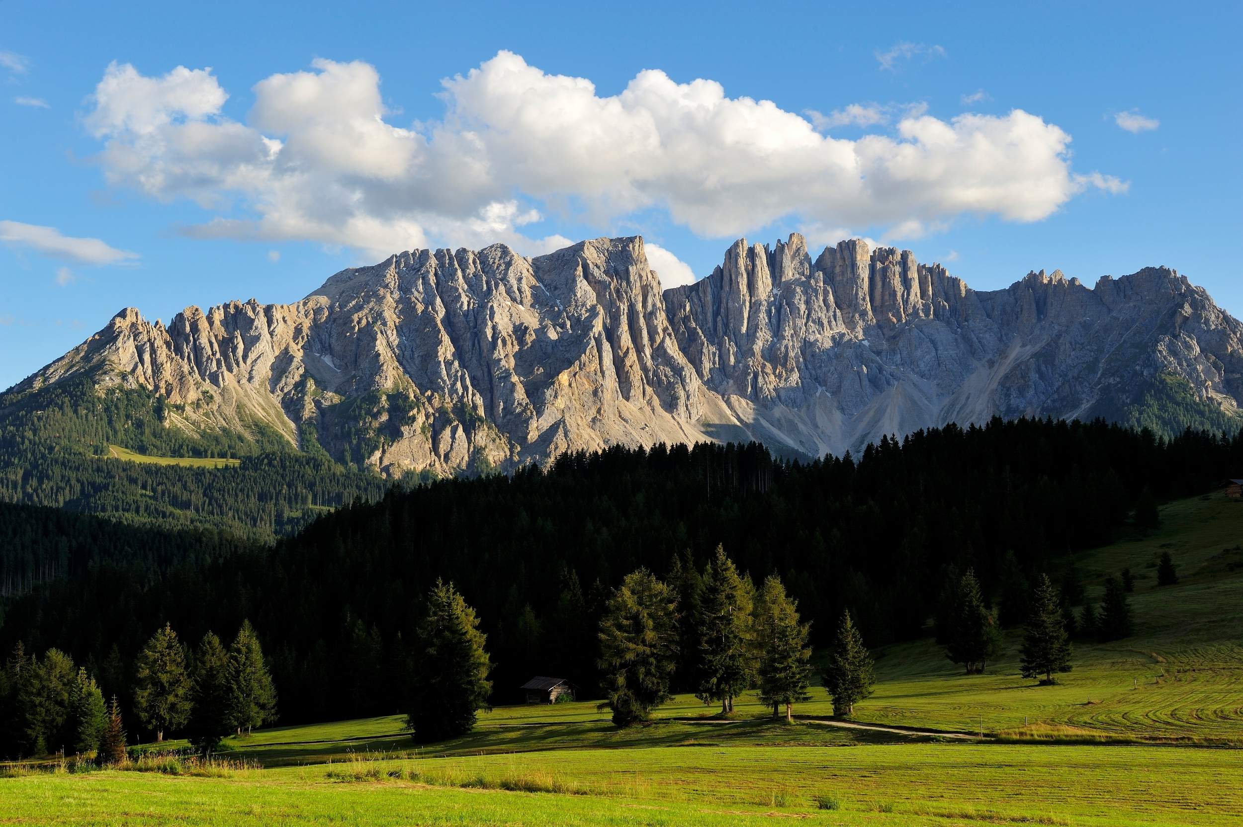 Magnificent view over the green meadows and forests in front of the Latemar massif.