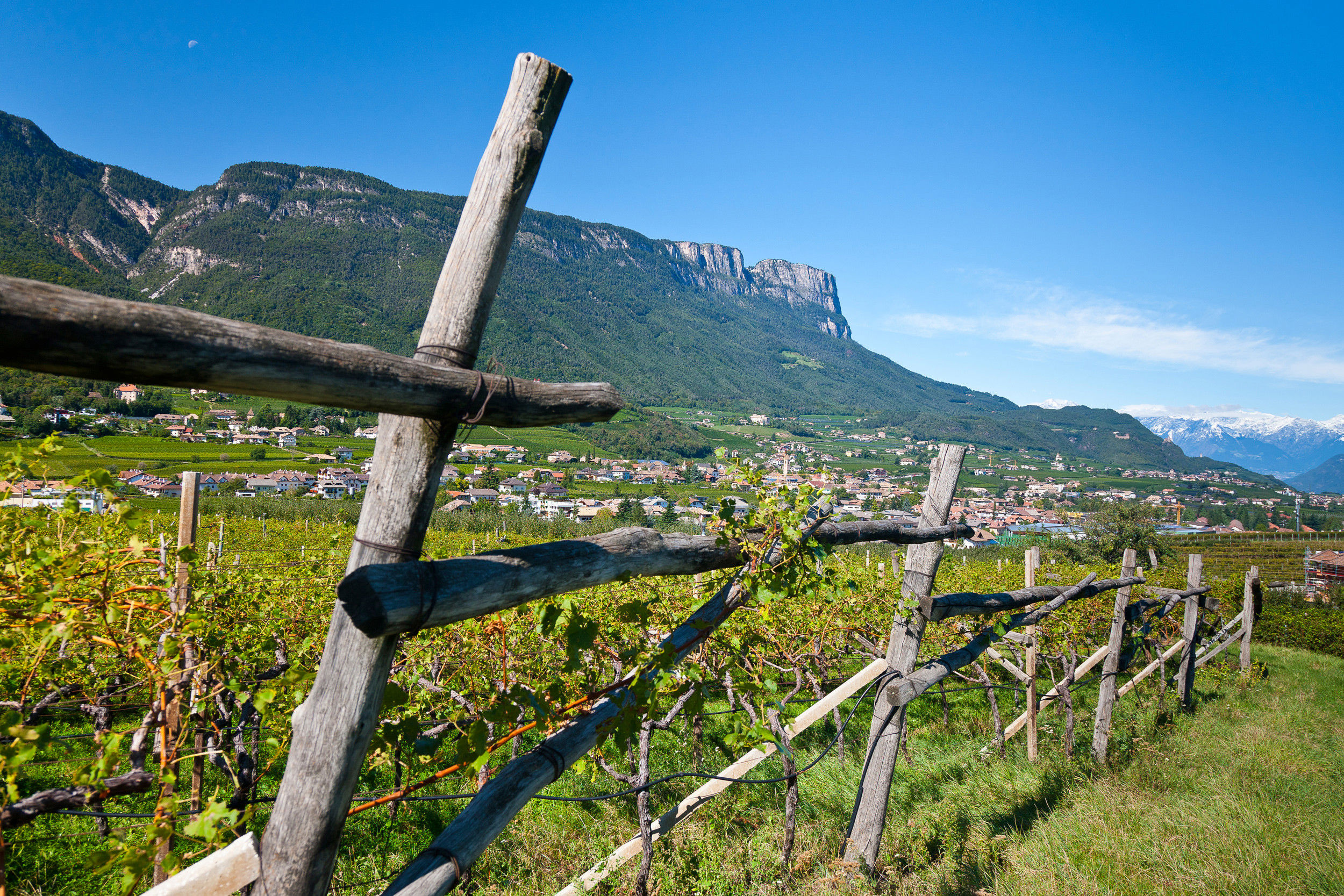Slate wood fence in front of vines, houses and wooded hillside in the background.