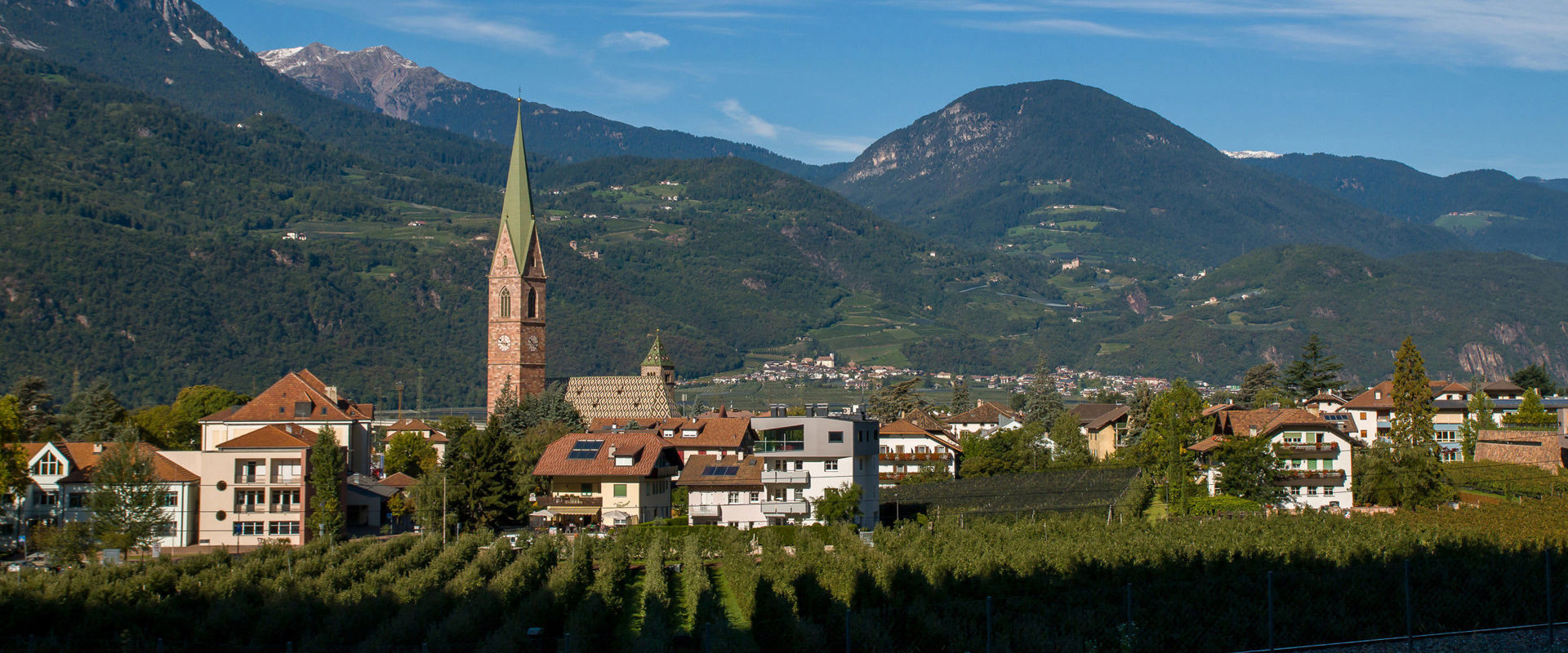 Terlan  View of the village of Terlan and the Church of the Assumption embedded in vines and orchards.