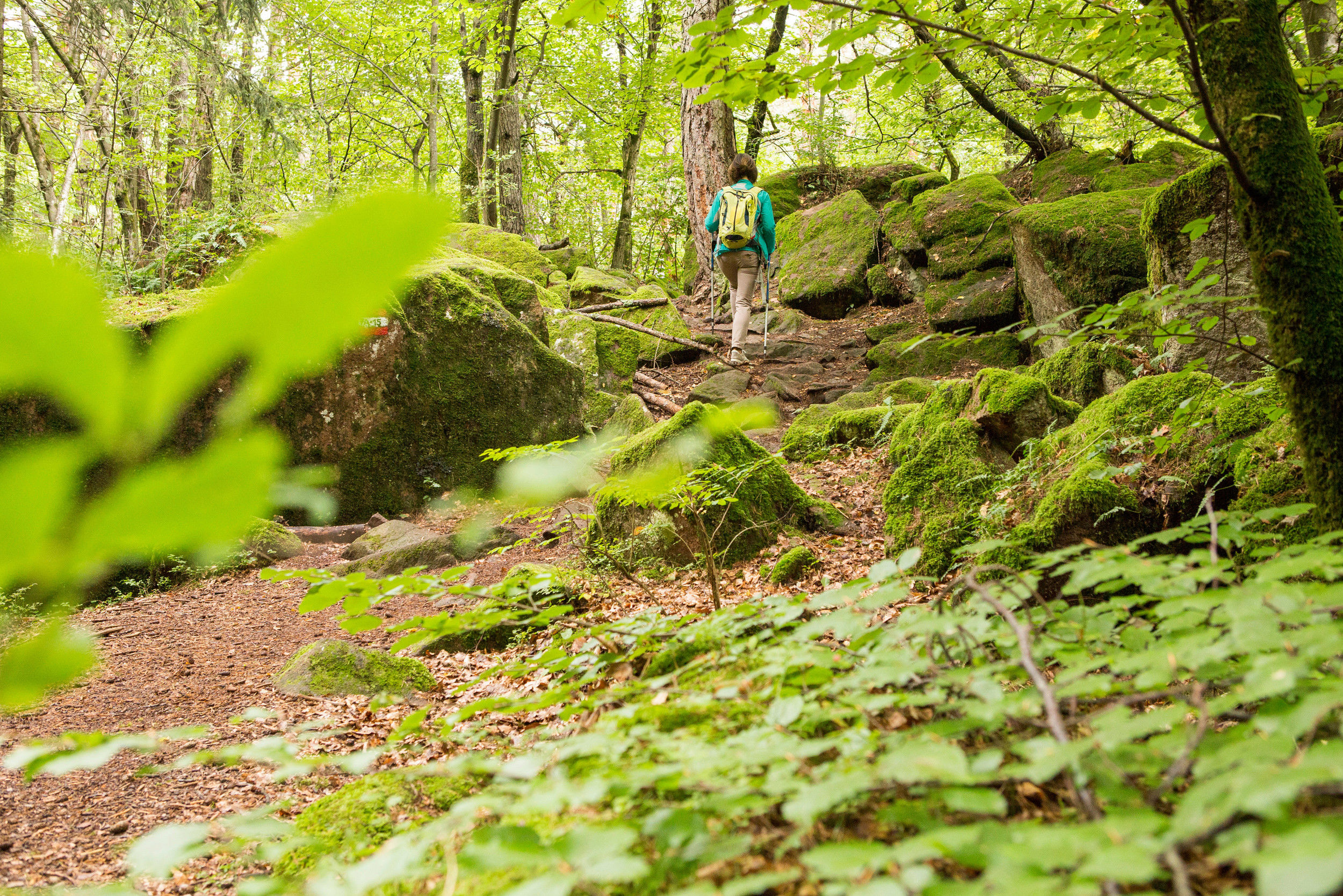 Woman walking in a rocky, mossy forest.