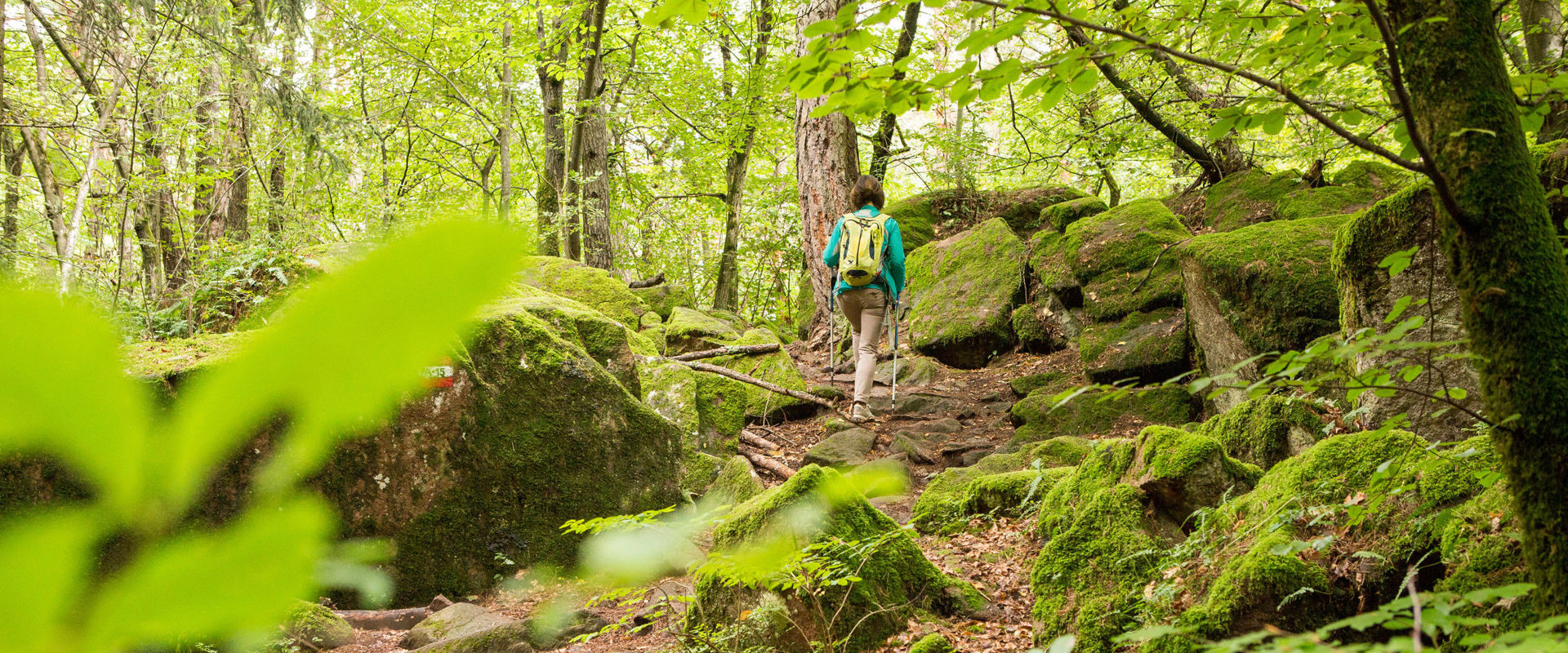 Ice Holes Eppan Woman walking in a rocky, mossy forest.