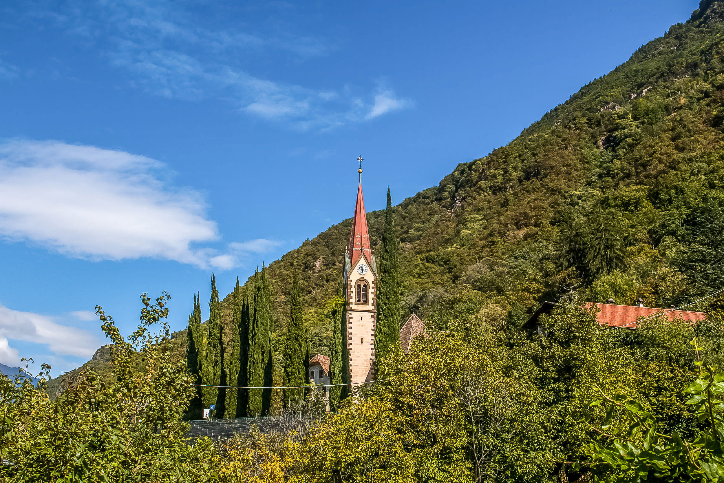 Burgstall parish church and woods
