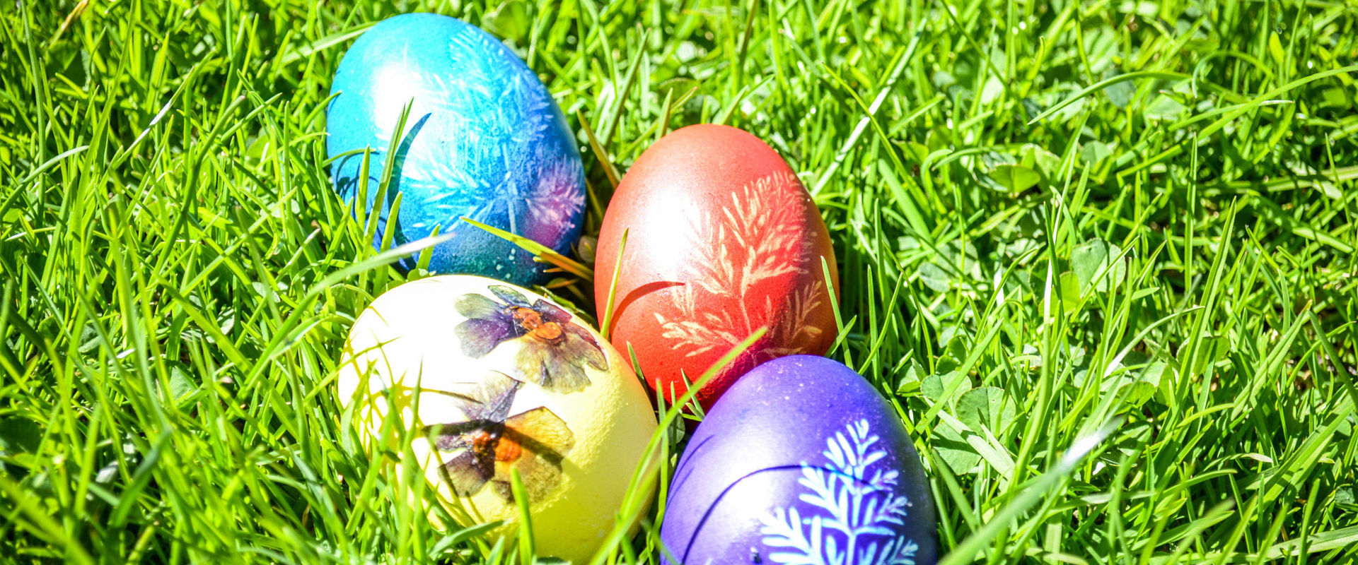 Colourful Easter eggs Easter eggs lie in the grass.