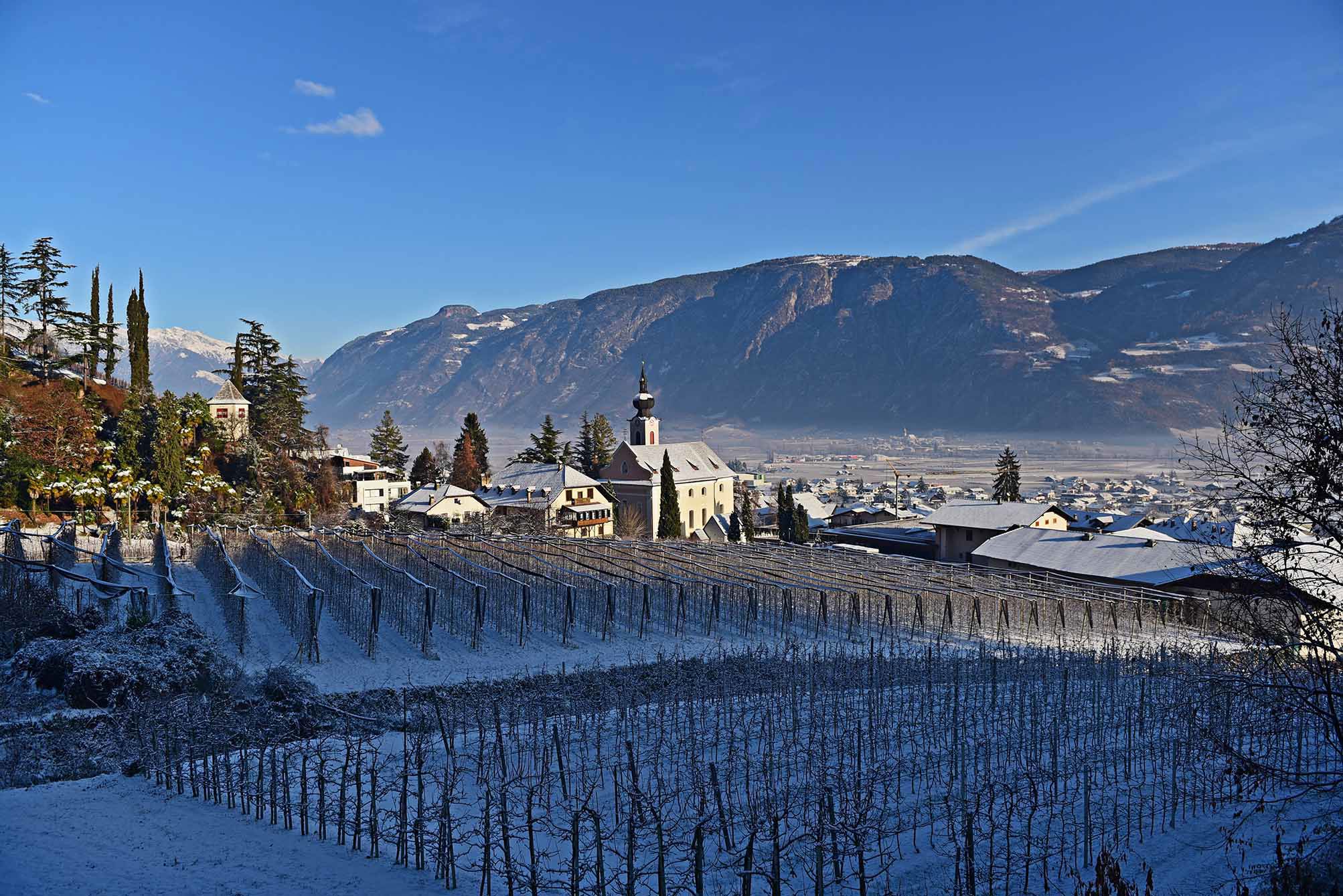 View of Nals, the church of St. Ulrich and the surrounding snow-covered vines.