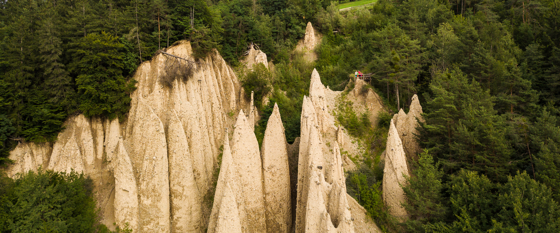The earth pyramids of Steinegg Earth pyramids in the middle of the forest.