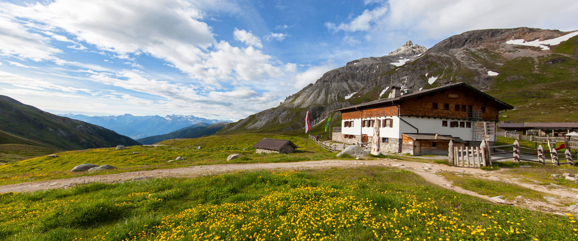 Sesvenna hut - high altitude tour South Tyrol View of the Sesvenna hut in summer with yellow flowers surrounding it.