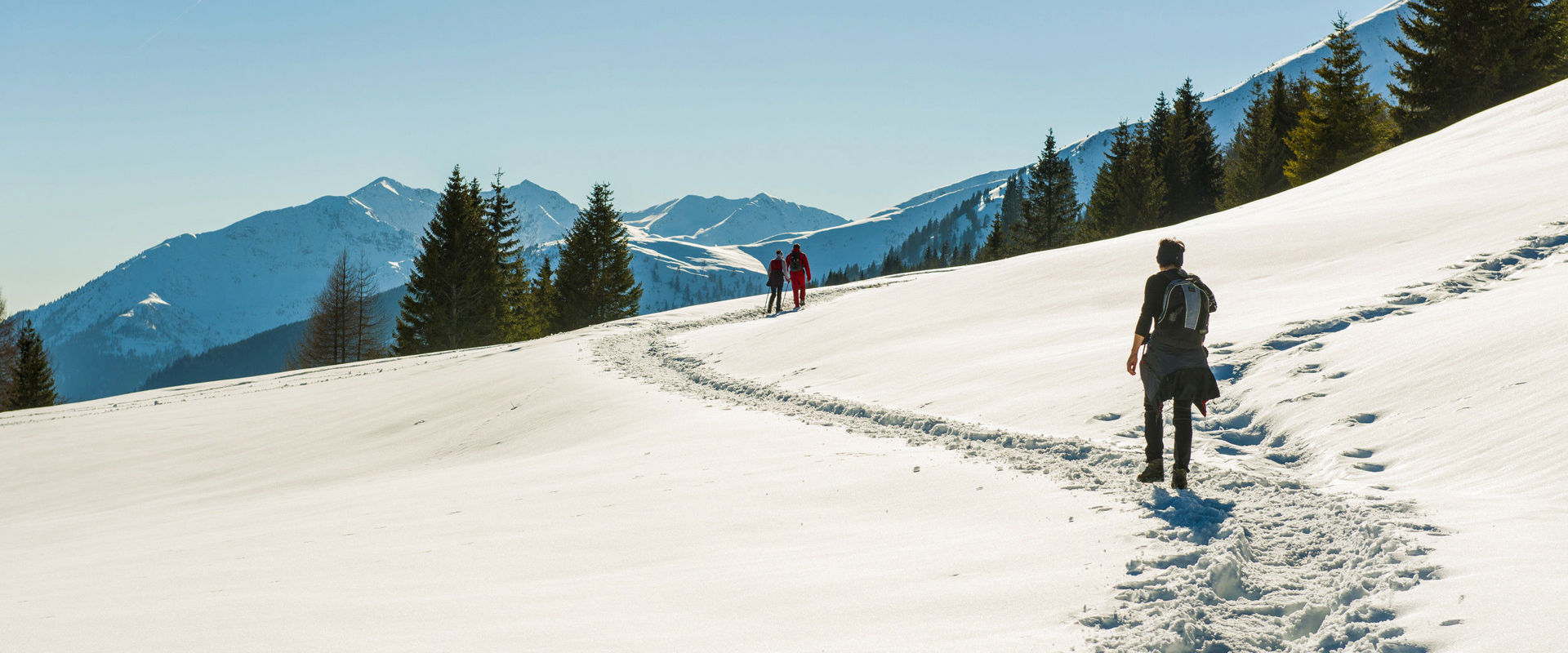 Winter hikers walk along a path covered with snow.