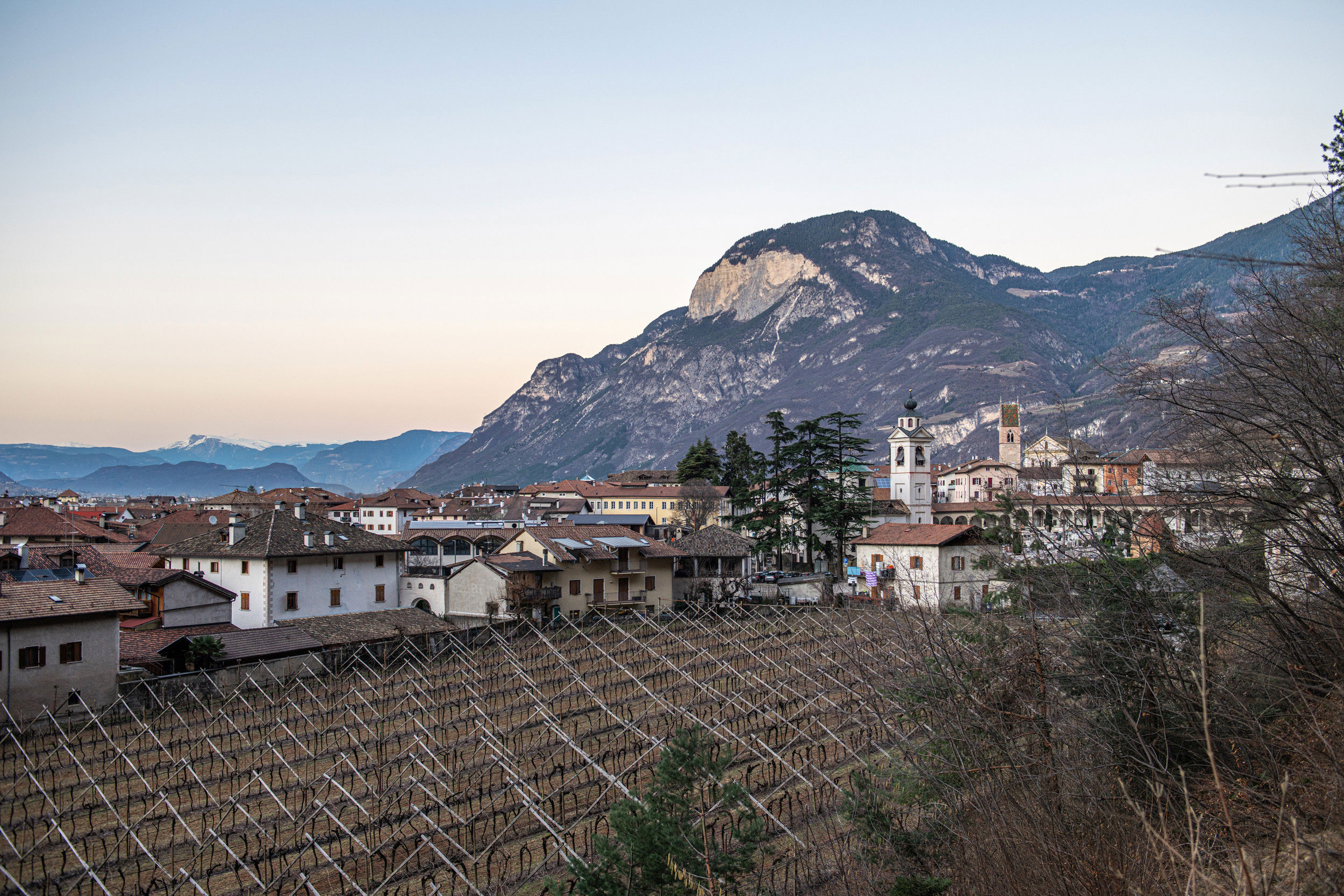Dusk over Salurn in winter. Bare vines fill the picture, in the distance in the centre of the village, the parish church of St. Andrew.