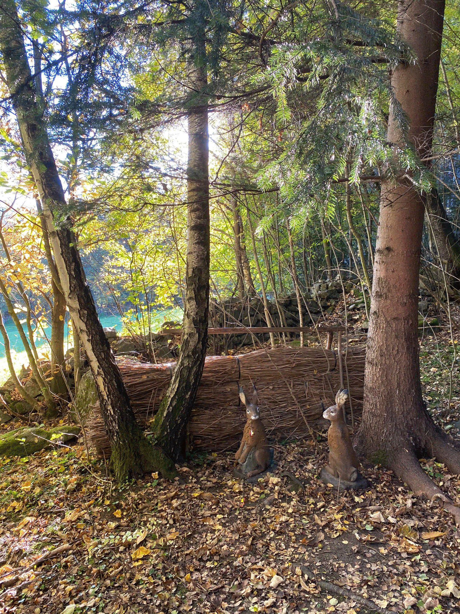 3D rabbits along the archery range at Lake Vahrn.