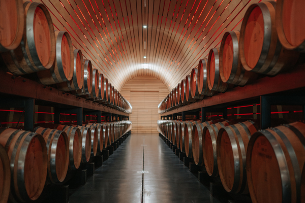 Wine barrels stacked up on the left and right in a new wine cellar