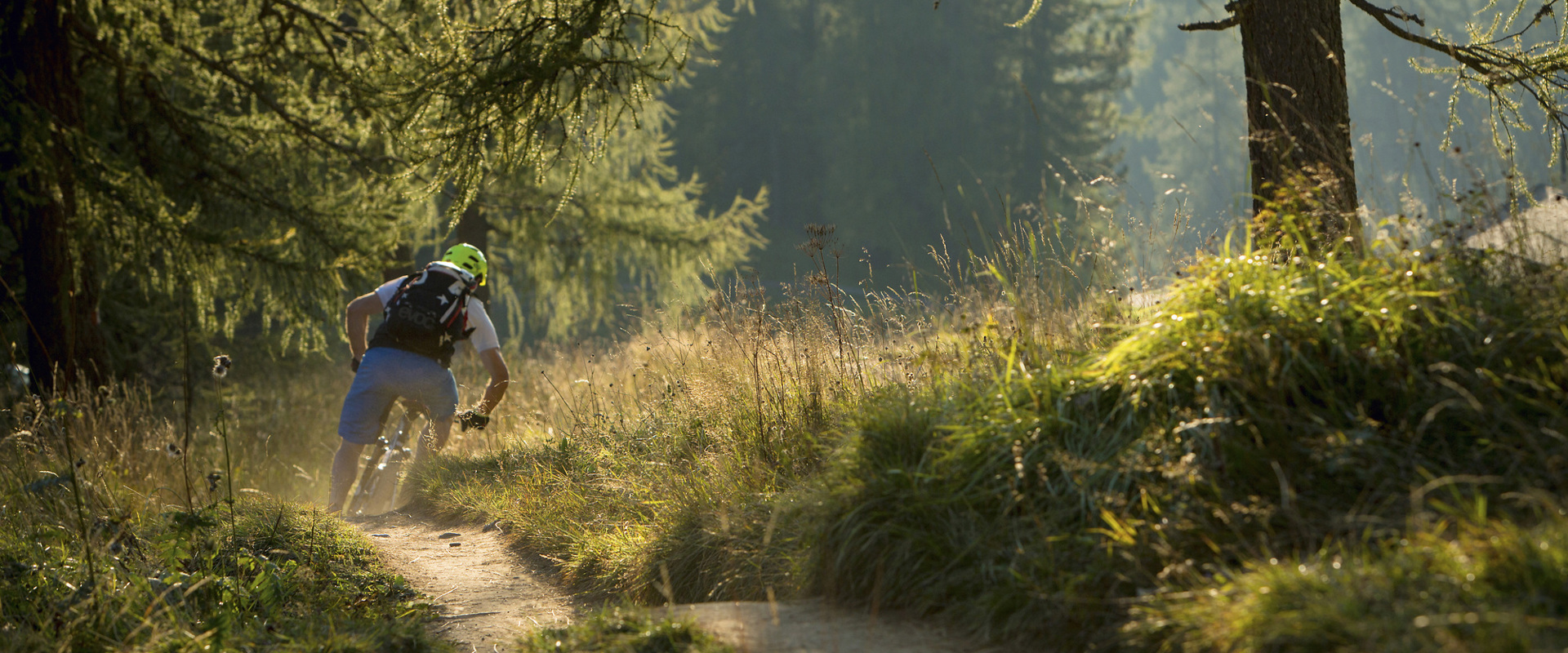 Freerider on the Carezza Trail