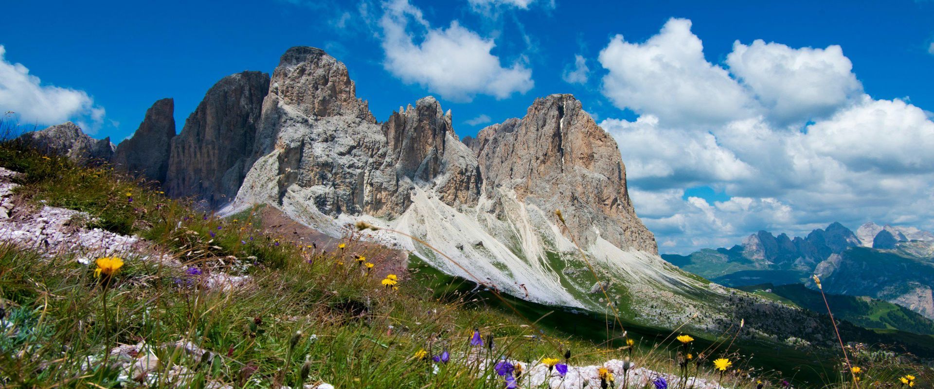 Langkofel View of Mt. Langkofel with flowering Alpine meadow
