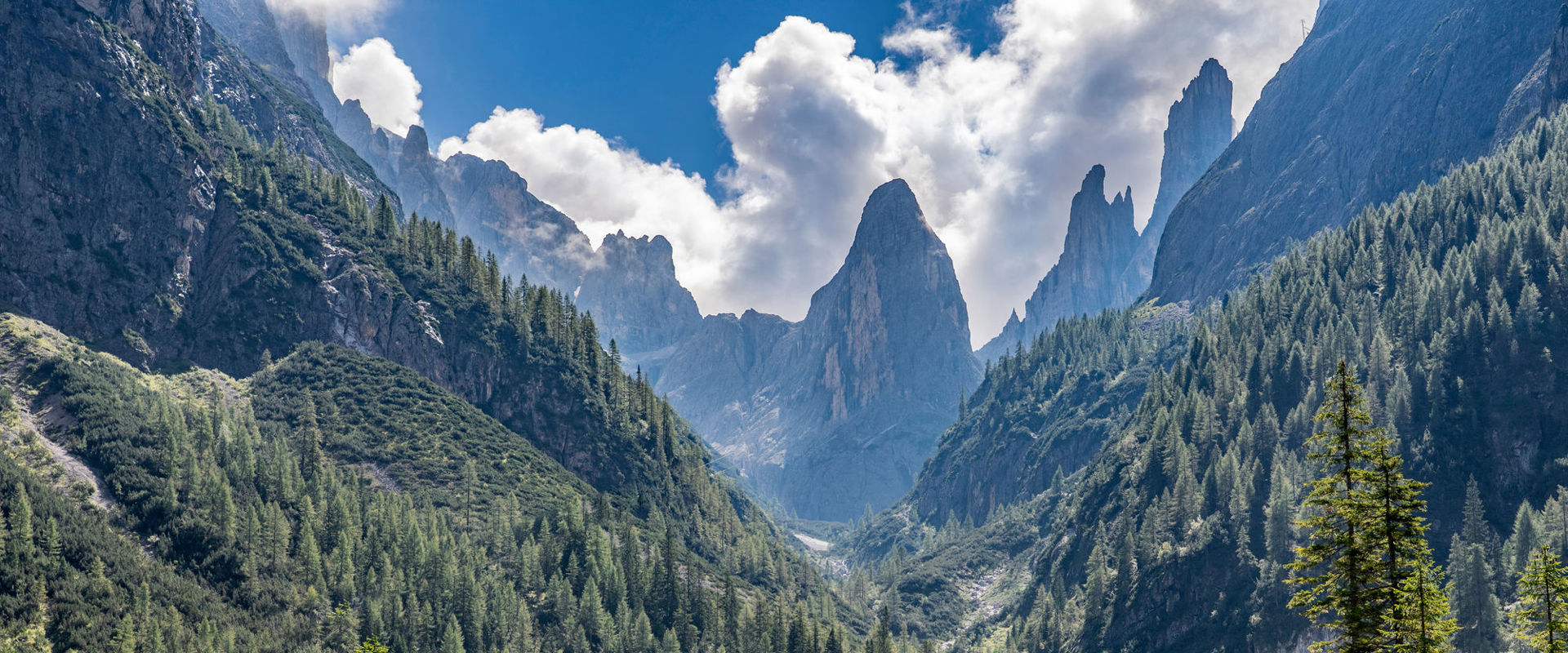 The Fischleintal Mountain biker rides along the track into the valley.