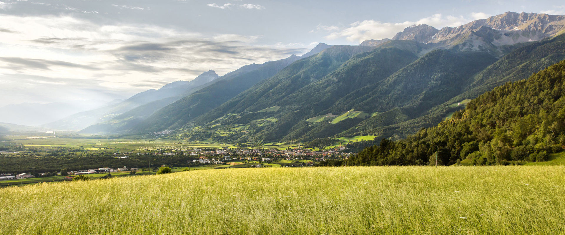 Lichtenberg meadow near Prad am Stilfserjoch