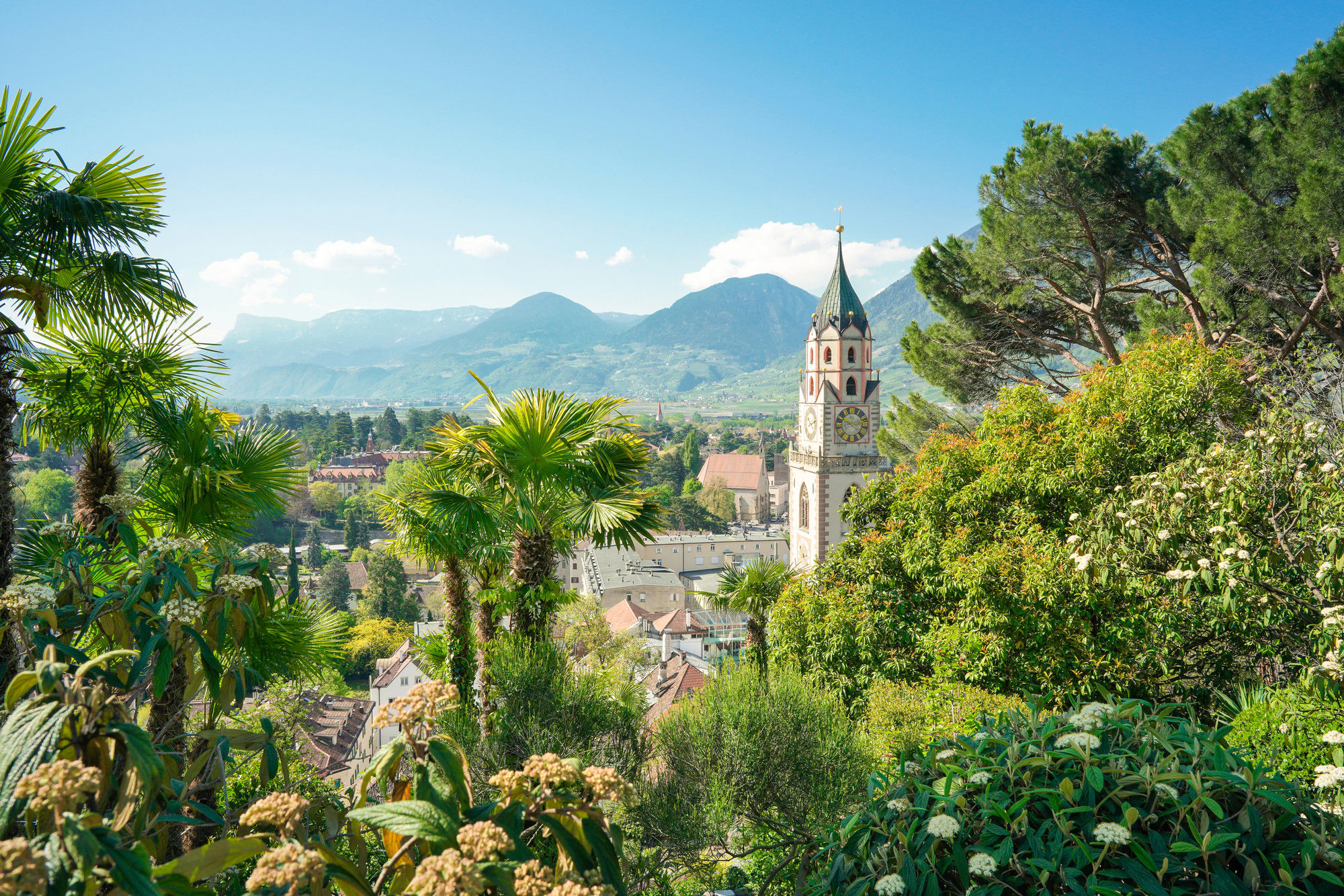 View of the Meran Cathedral and typical Mediterranean vegetation.