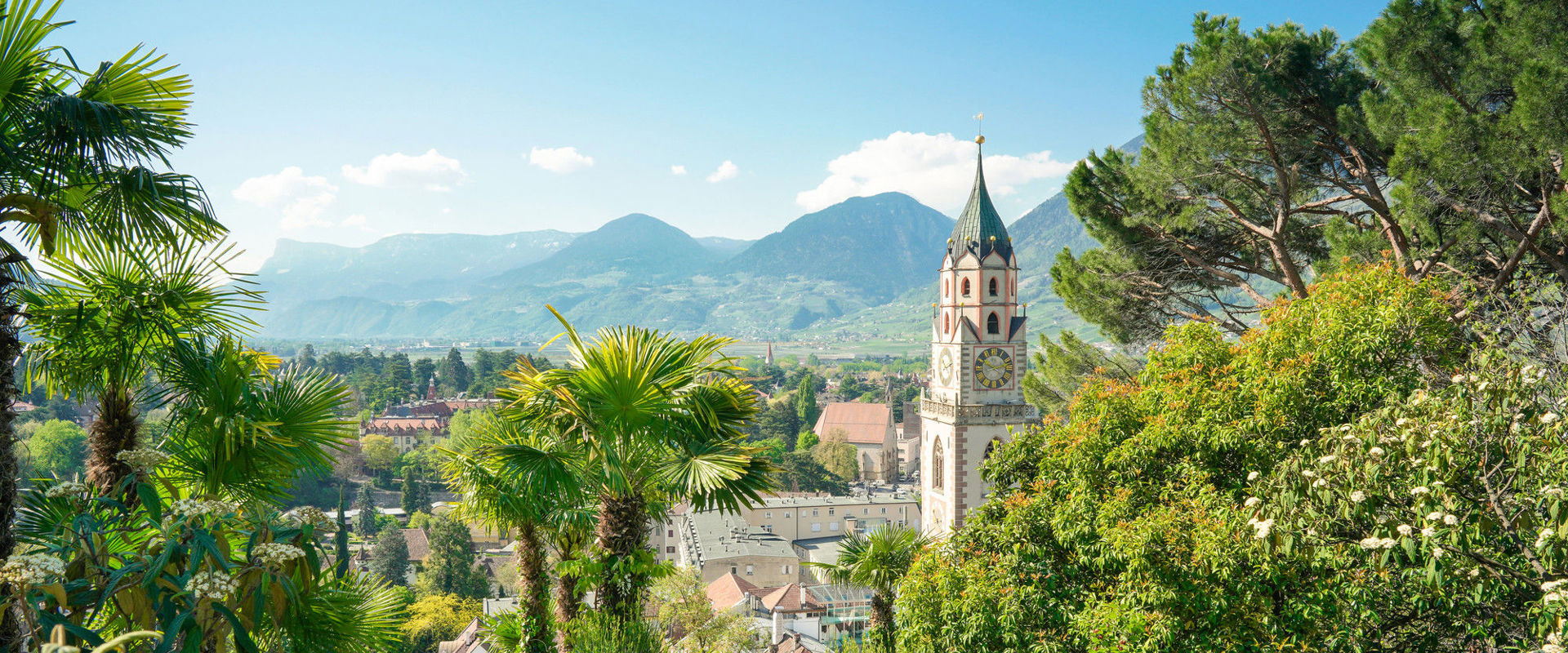 Meran View of the Meran Cathedral and typical Mediterranean vegetation.